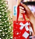 hand holding bag for charity at home