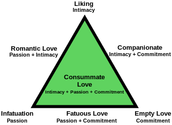 theory of love