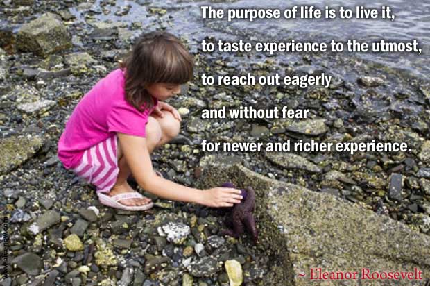 Little girls fearlessly discovering sea life near a beach