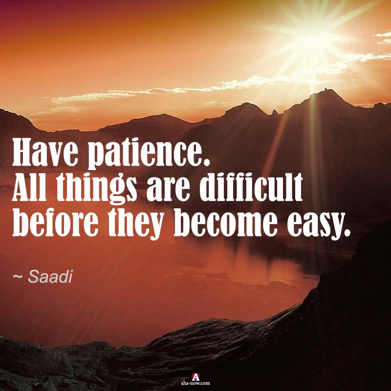 "Have patience. All things are difficult before they become easy." ~ Saadi