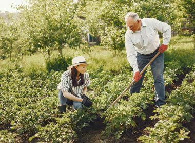 Family doing autumn gardening in farm