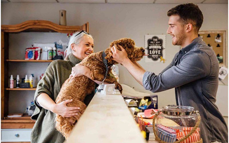 Pet dog with owner at a pet shop