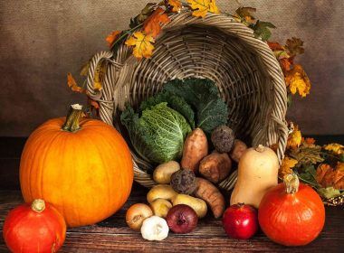 Terrace garden produce food to eat healthy