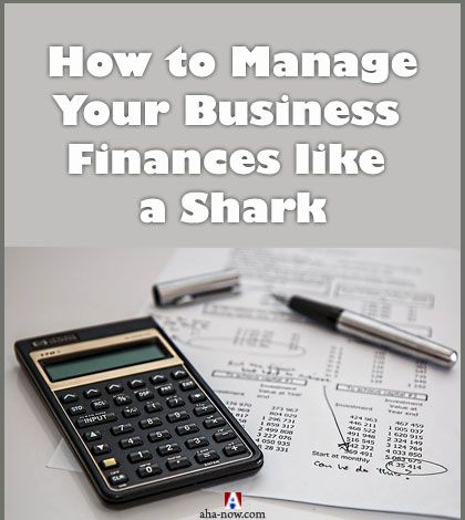 How to Manage Your Business Finances like a Shark