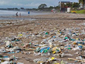 plastic bottles and garbage on the beach