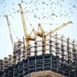 construction of building using cranes