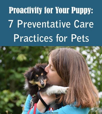 Proactivity for Your Puppy: 7 Preventative Care Practices for Pets