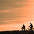 Silhouette of two men cycling against the sunset.